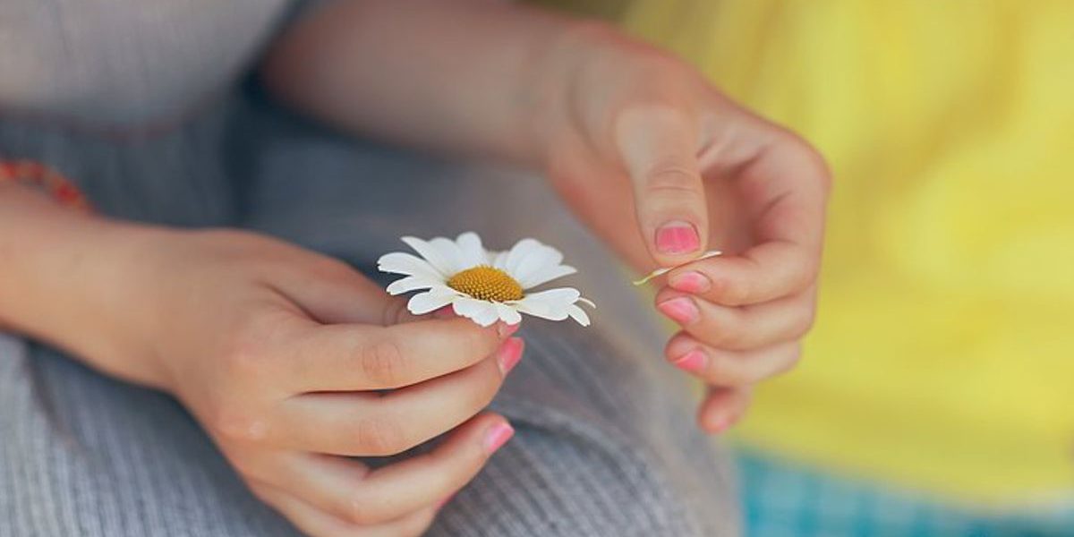 Любит — не любит Любит - не любит