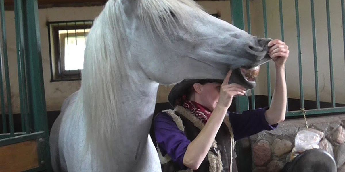 Принцев нет, остались только кони